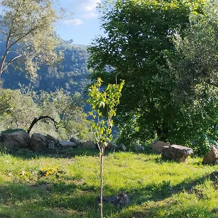 Briciole Di Pietra