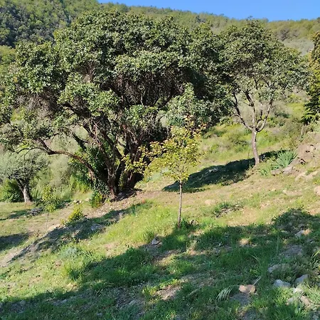 Briciole Di Pietra Bed and Breakfast