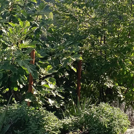 Bed and Breakfast Briciole Di Pietra 3*