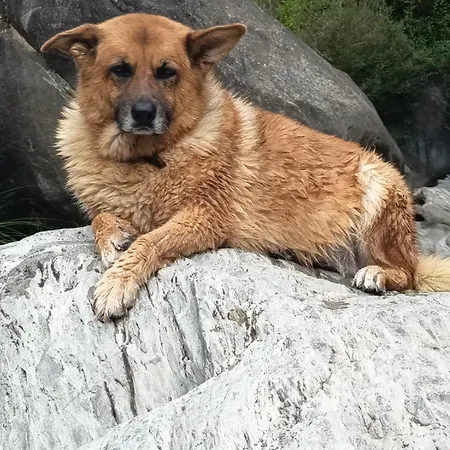 Briciole Di Pietra 3* Dolceacqua
