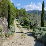 Briciole Di Pietra Dolceacqua