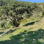 Briciole Di Pietra Bed & Breakfast