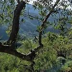 B&B Briciole Di Pietra 3*