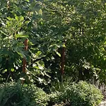 B&B Briciole Di Pietra 3*