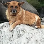 Briciole Di Pietra 3* Dolceacqua
