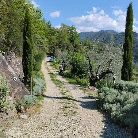 Briciole Di Pietra Dolceacqua