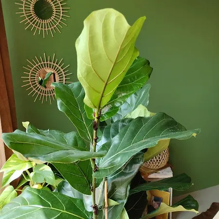 לינה וארוחת בוקר Briciole Di Pietra