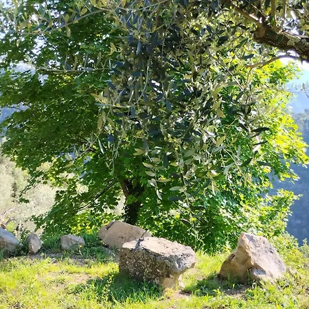 ベッド・アンド・ブレックファスト Briciole Di Pietra 3*