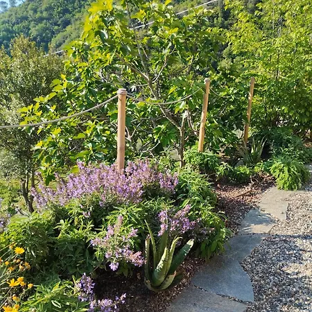 Briciole Di Pietra