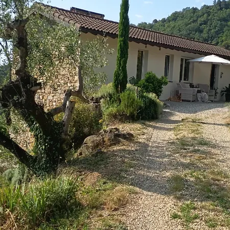 Briciole Di Pietra *