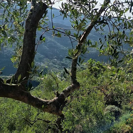 Bed & Breakfast Briciole Di Pietra *