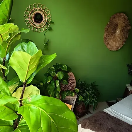 Briciole Di Pietra 3* ドルチェアックア