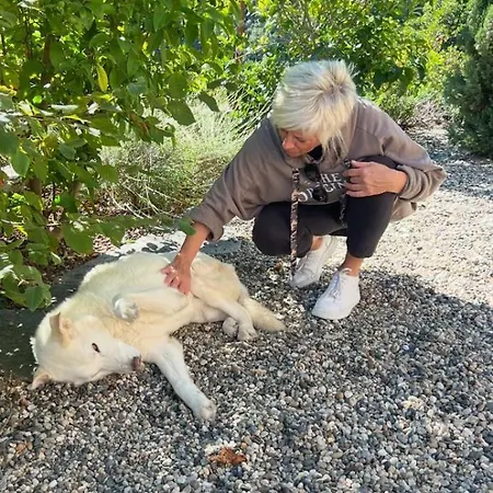 Briciole Di Pietra ドルチェアックア