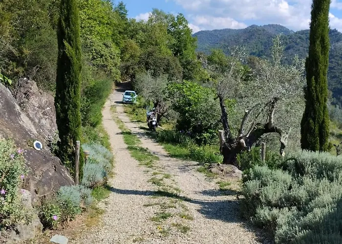Briciole Di Pietra Dolceacqua