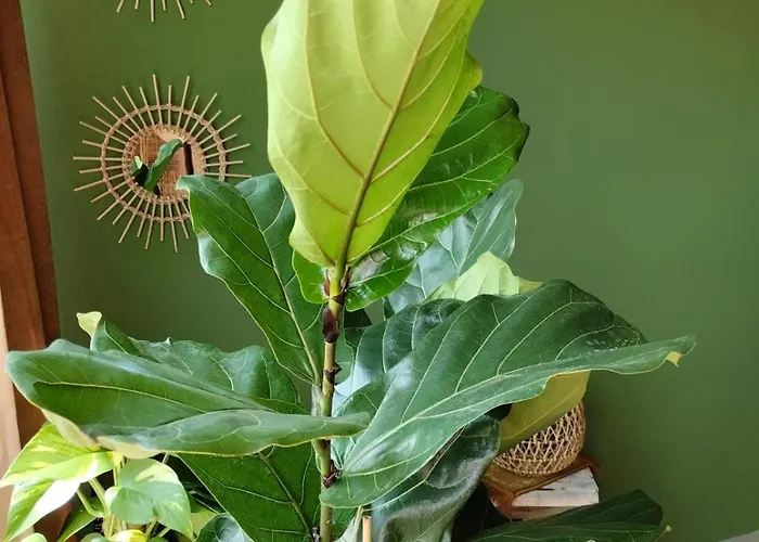 Bed & Breakfast Briciole Di Pietra