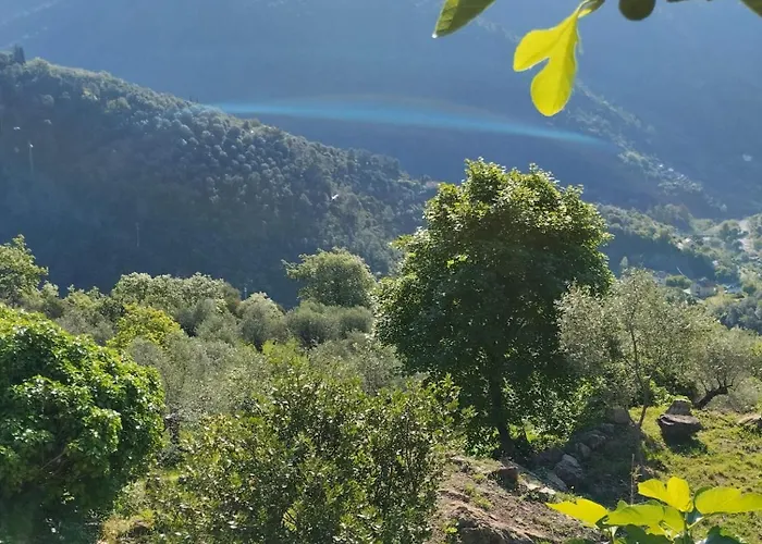 Briciole Di Pietra Bed & Breakfast