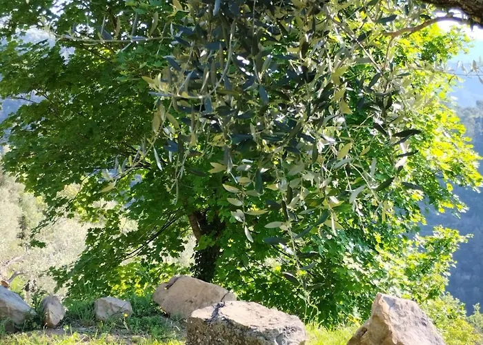 Bed & Breakfast Briciole Di Pietra 3*