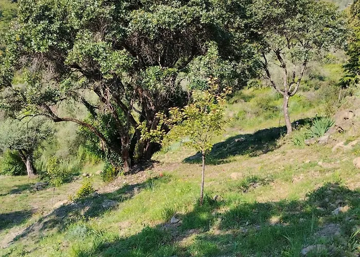 Briciole Di Pietra Bed & Breakfast