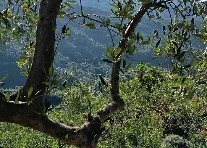 住宿加早餐酒店 Briciole Di Pietra 3*