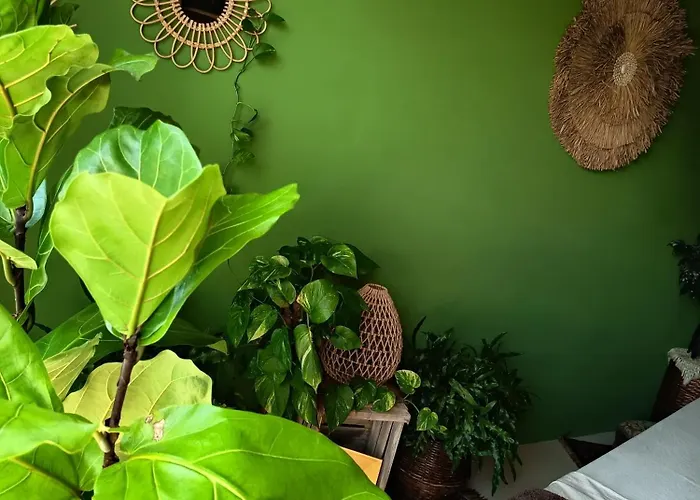 Briciole Di Pietra 3* Dolceacqua