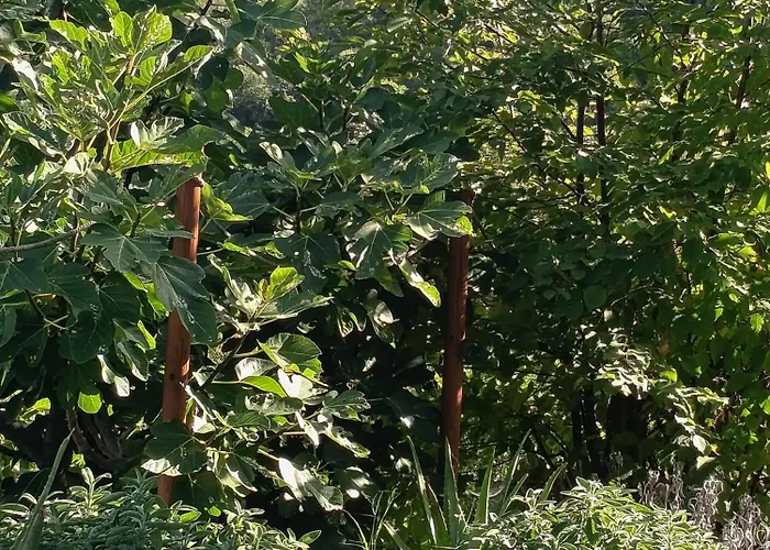 Bed & Breakfast Briciole Di Pietra 3*