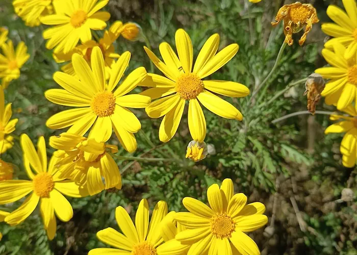 Briciole Di Pietra Bed & Breakfast