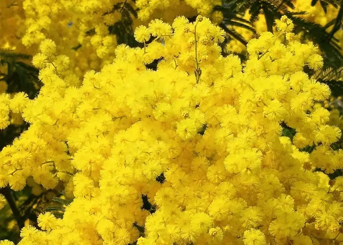 Briciole Di Pietra Bed & Breakfast 3*