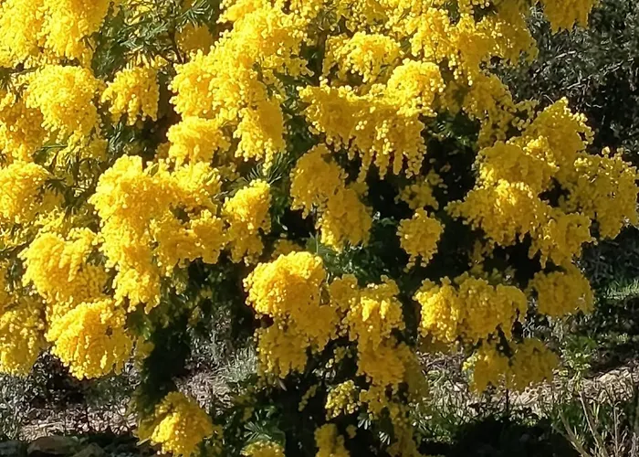 Bed & Breakfast Briciole Di Pietra